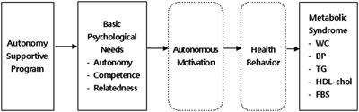 Development and effectiveness of a mobile-based autonomy support program for the prevention of metabolic syndrome in middle-aged women